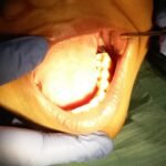 41943688_1911023565865727_8784201254197788672_n