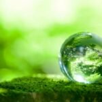 493486634_3535338676767533_8887982388386717074_n